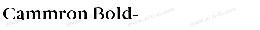 Cammron Bold字体转换